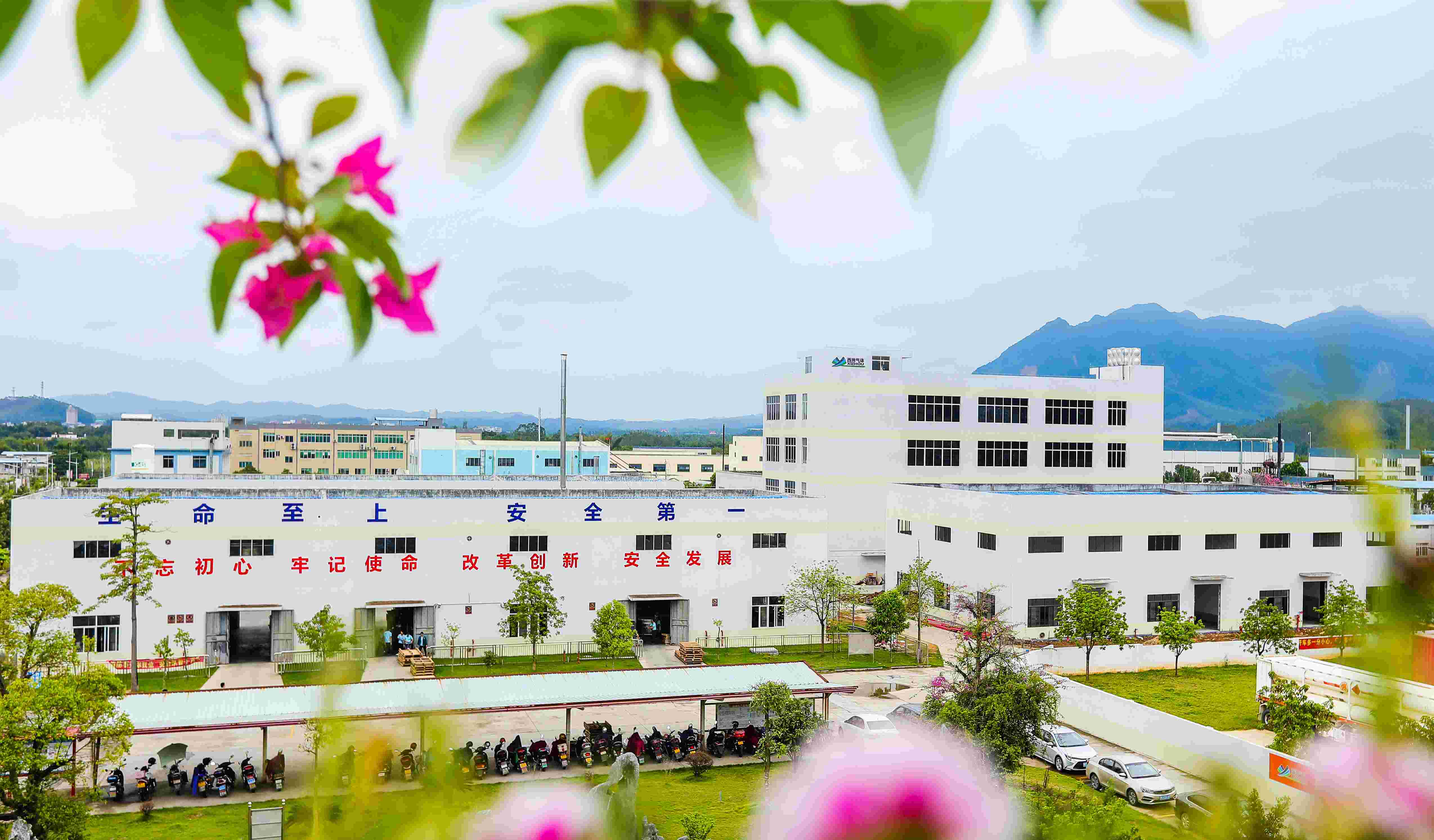 388vip̫���������峧��